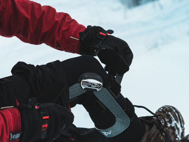 Untitled_design_1_e9067222-3693-45cb-896a-00c264054619